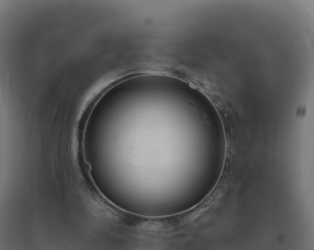 X0000094770294200711241323