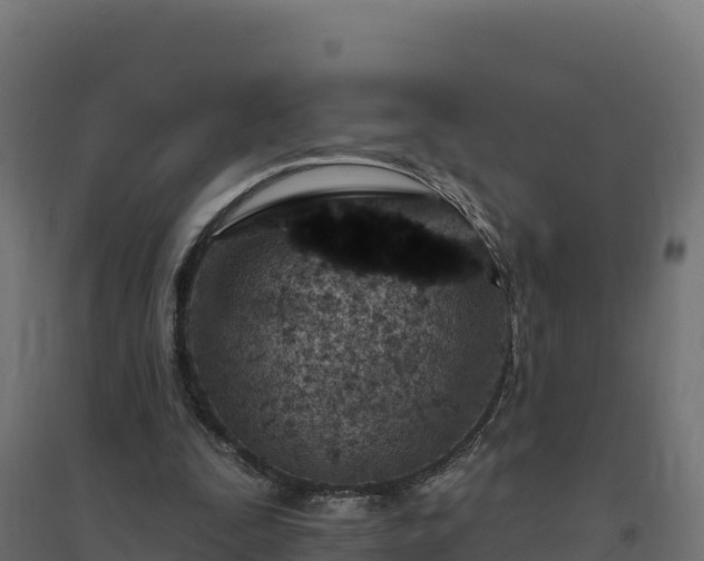 X0000094770295200711241323