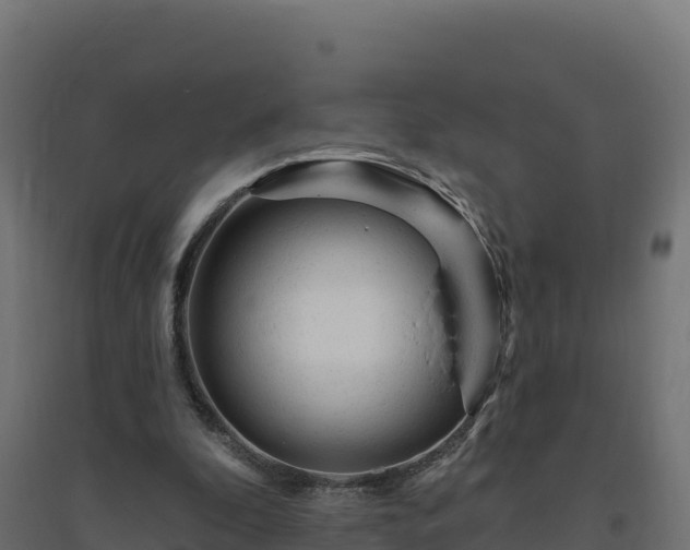 X0000094770296200711241323