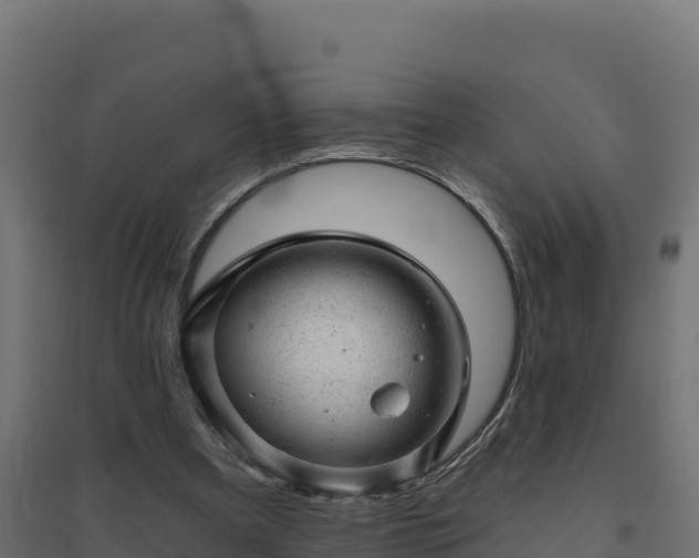 X0000094770297200711241323