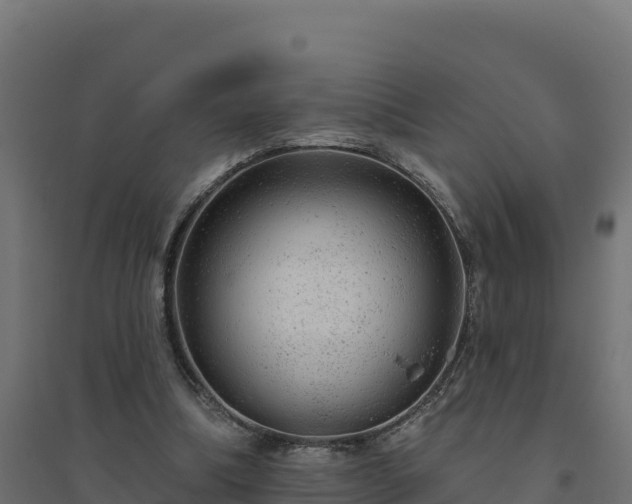 X0000094770298200711241323