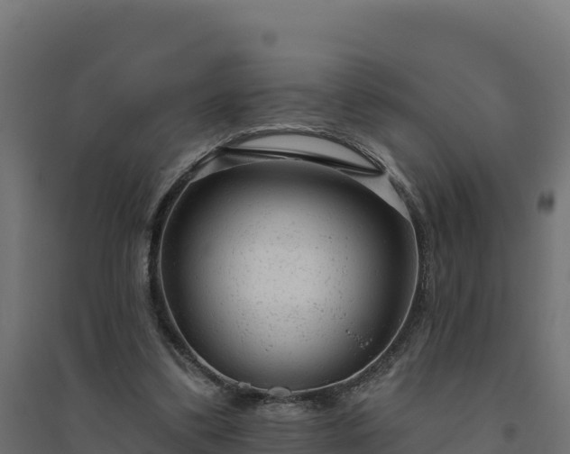 X0000094770299200711241323