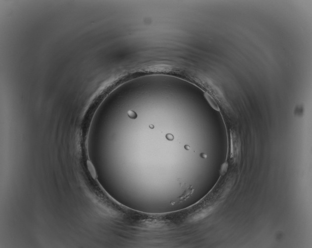 X0000094770300200711241323