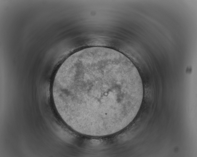 X0000094770302200711241323