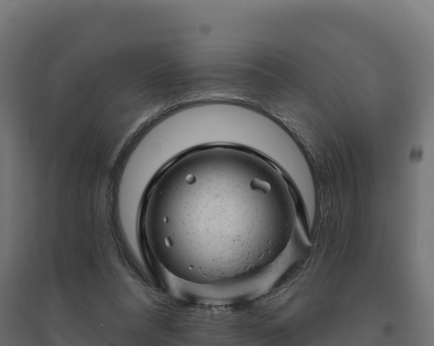 X0000094770304200711241322