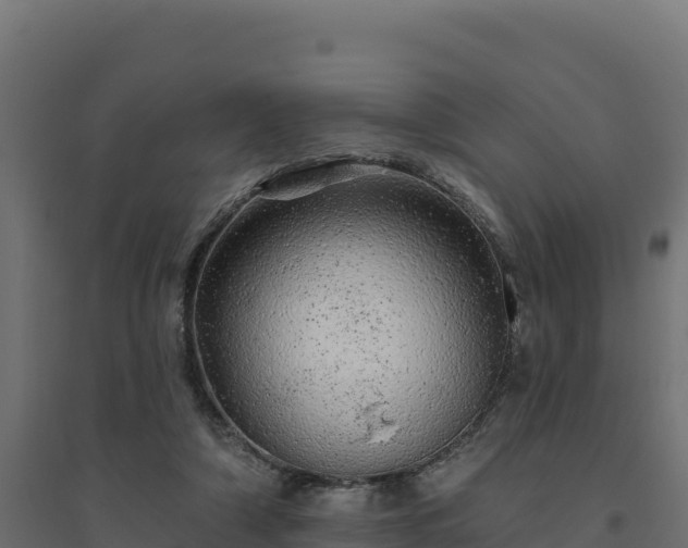 X0000094770306200711241322