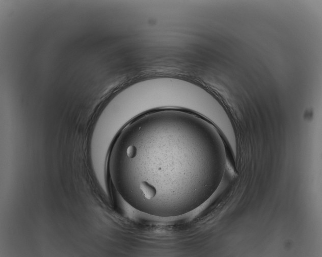 X0000094770308200711241322