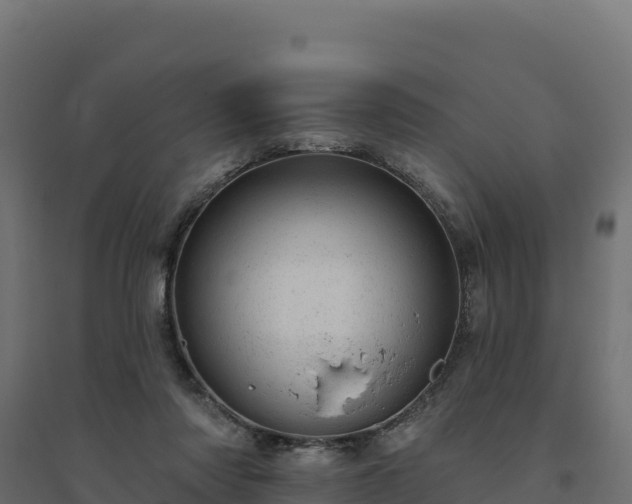 X0000094770310200711241322