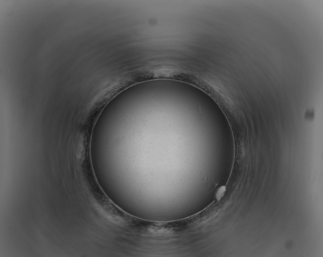 X0000094770311200711241322