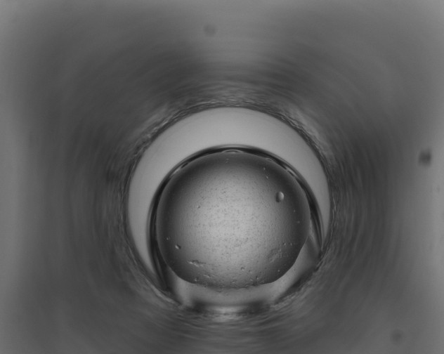 X0000094770313200711241322