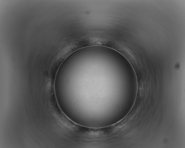 X0000094770314200711241322