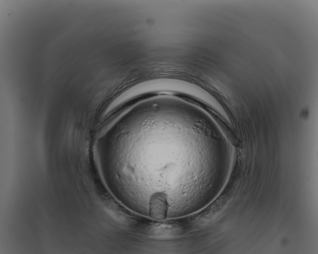 X0000094770315200711241322