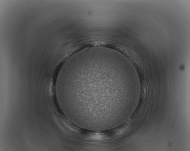 X0000094770316200711241322