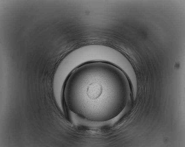 X0000094770317200711241322