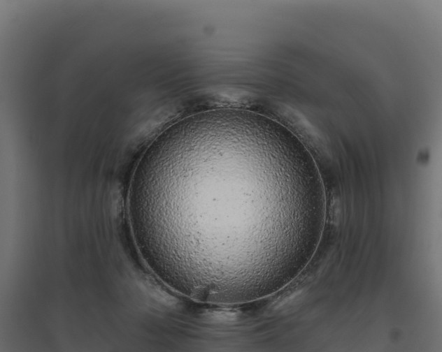 X0000094770318200711241322