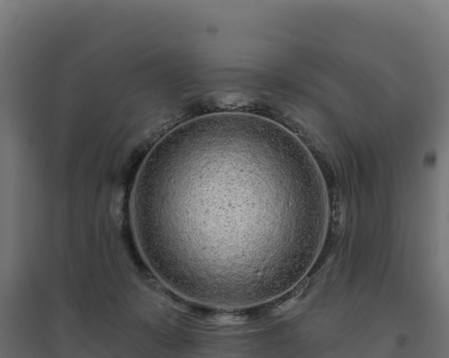 X0000094770319200711241322