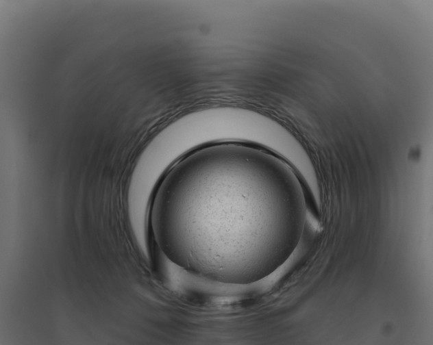 X0000094770320200711241322