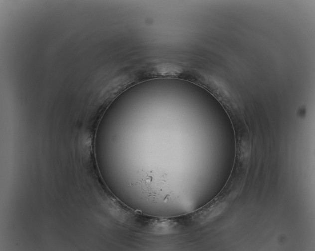 X0000094770321200711241322