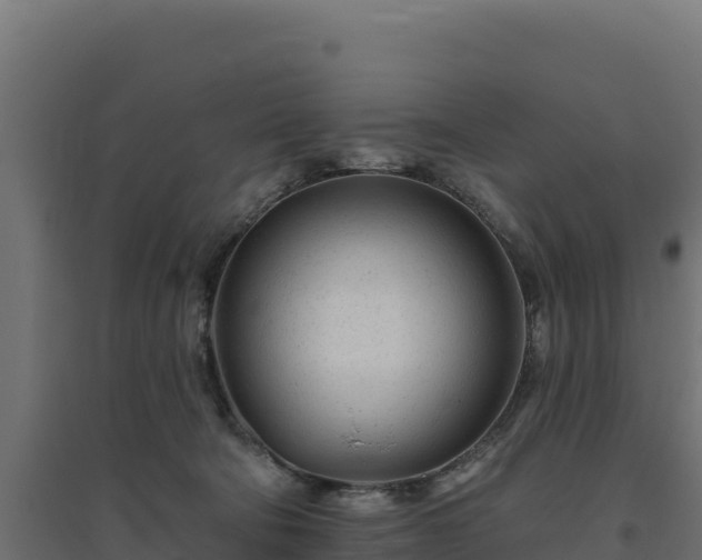 X0000094770322200711241322