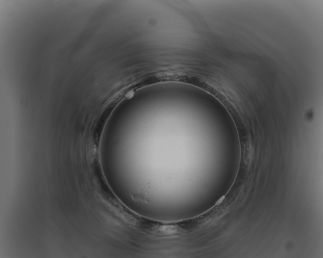 X0000094770324200711241322