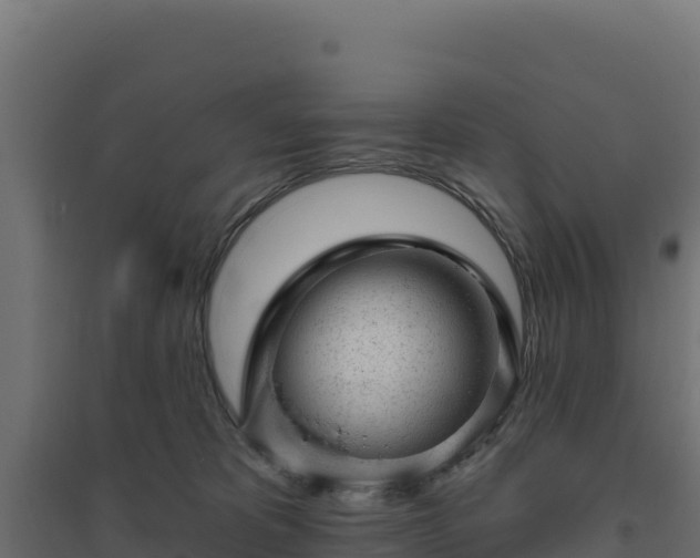 X0000094770325200711241322