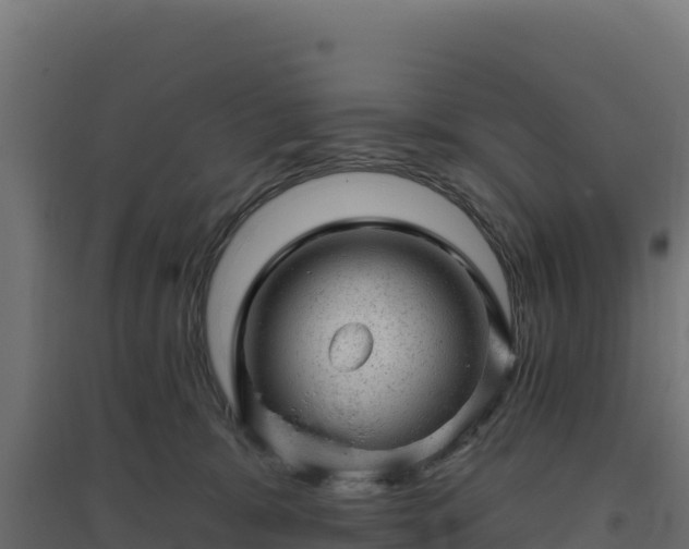 X0000094770327200711241322