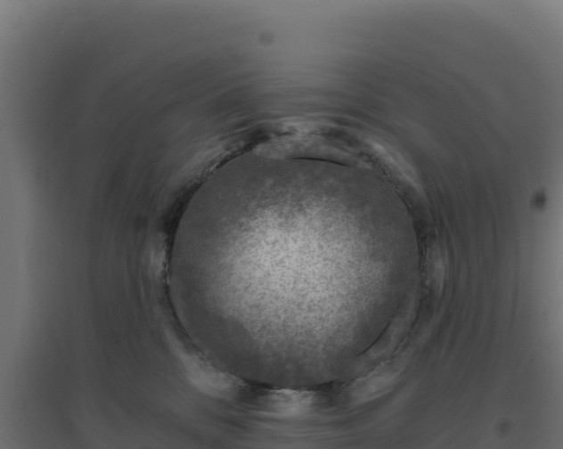 X0000094770328200711241322