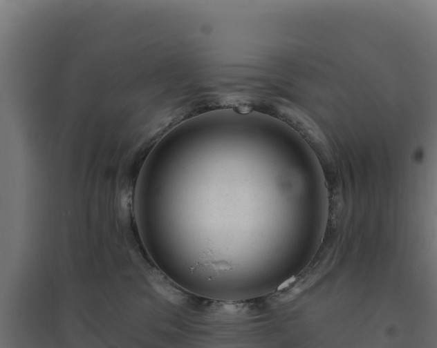 X0000094770329200711241322