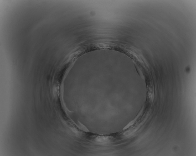 X0000094770332200711241322