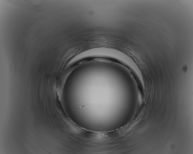 X0000094770333200711241322