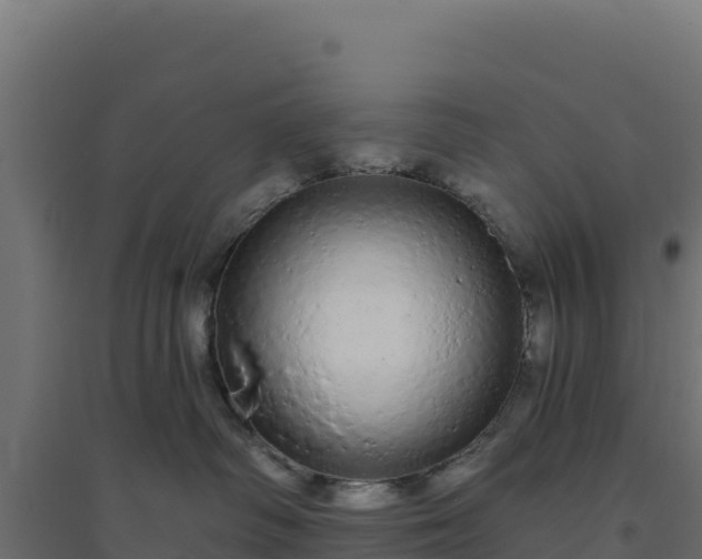 X0000094770334200711241322