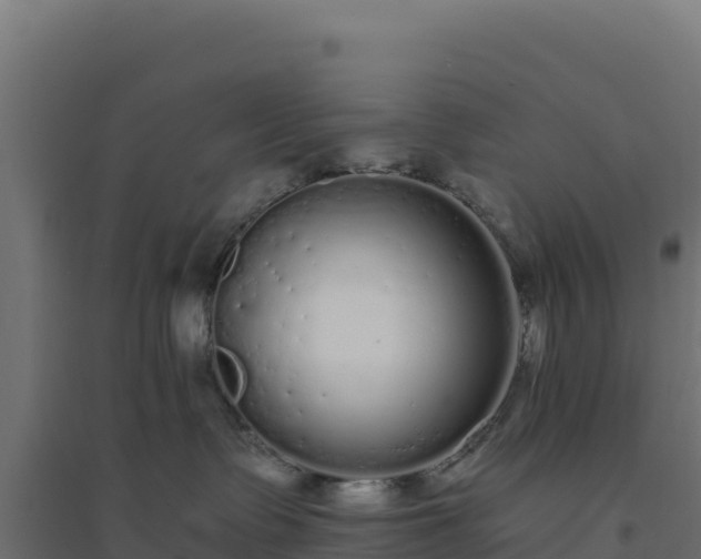 X0000094770335200711241322