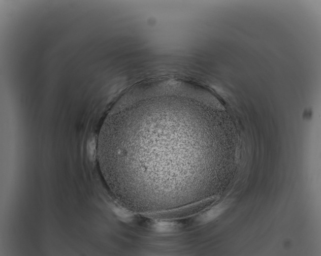 X0000094770336200711241322