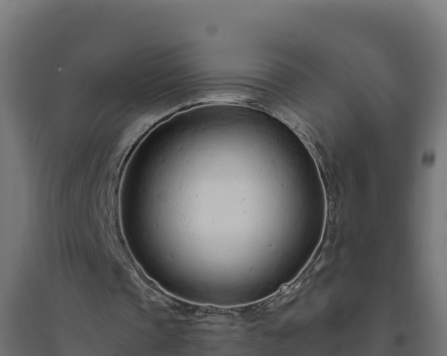 X0000094770337200711241321