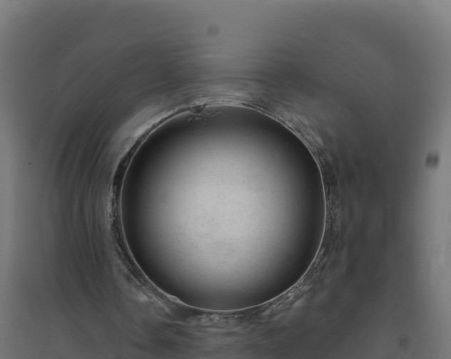 X0000094770338200711241321