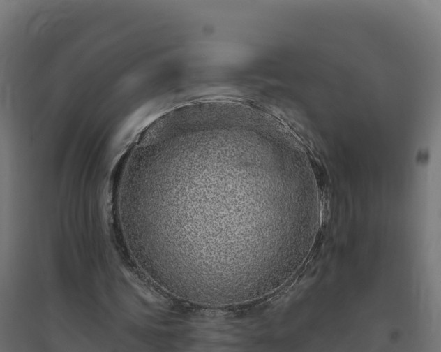 X0000094770339200711241321