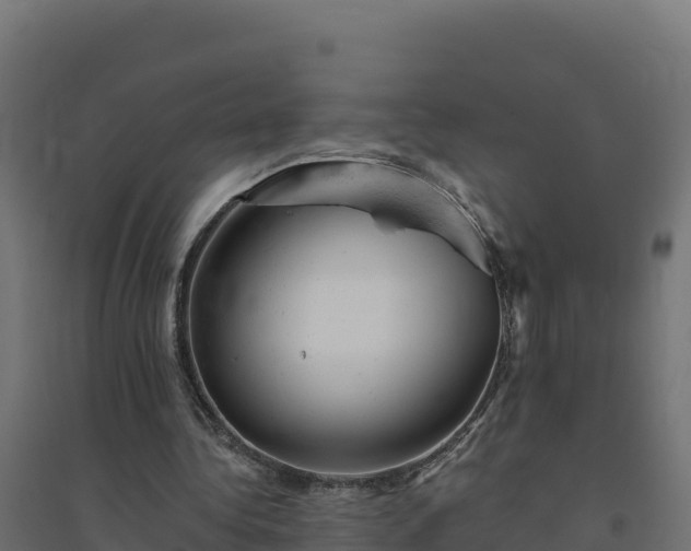 X0000094770340200711241321