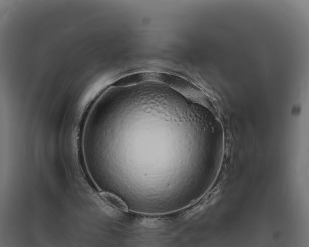 X0000094770341200711241321