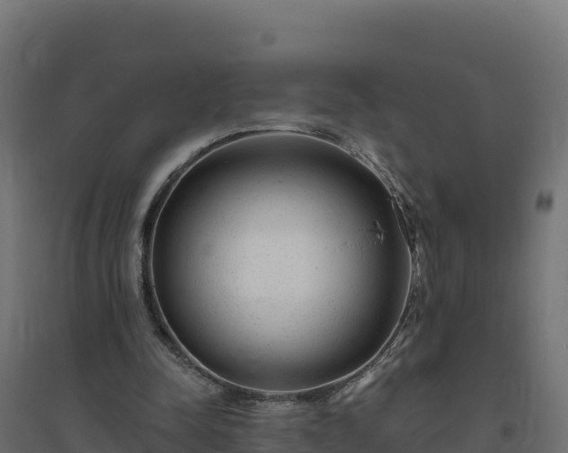 X0000094770342200711241321