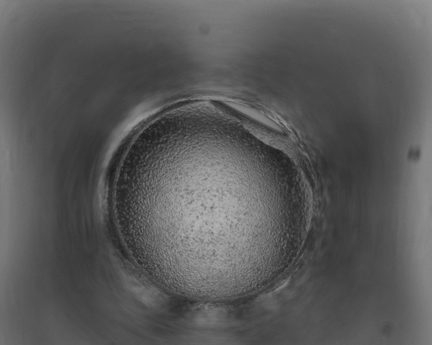 X0000094770343200711241321