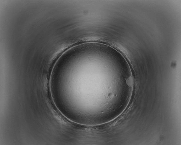 X0000094770345200711241321