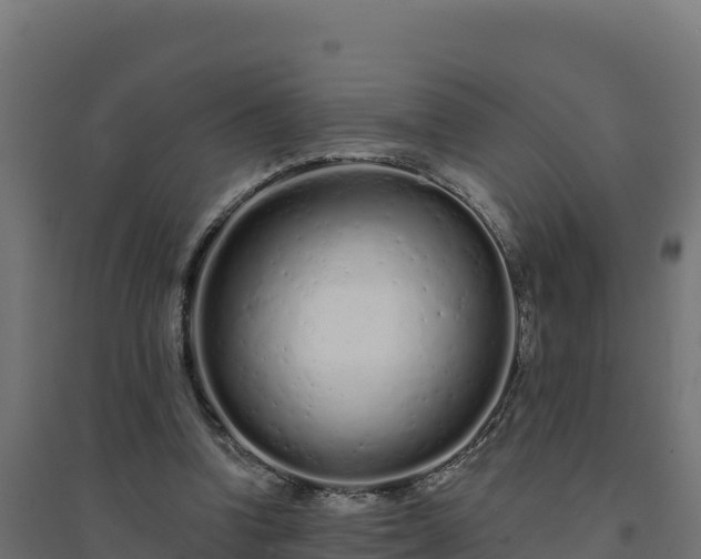 X0000094770346200711241321