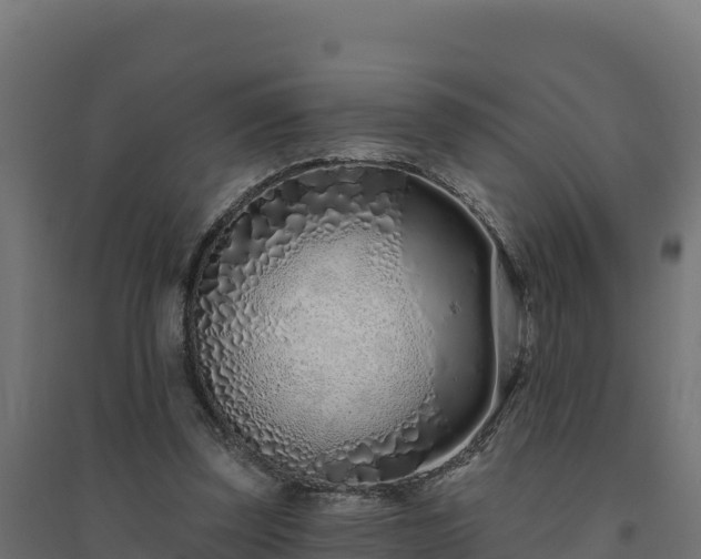 X0000094770347200711241321