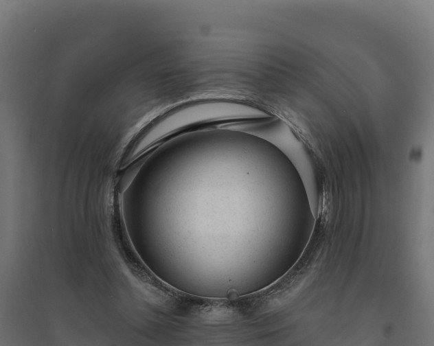 X0000094770348200711241322