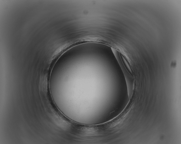 X0000094770349200711241322