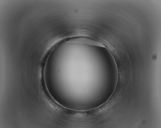 X0000094770350200711241322