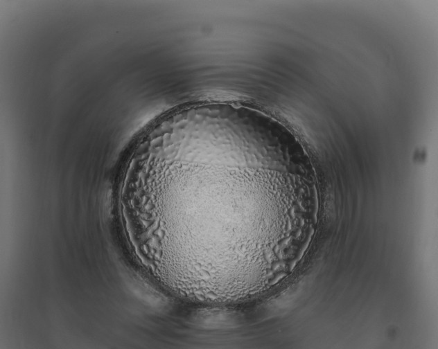 X0000094770351200711241322