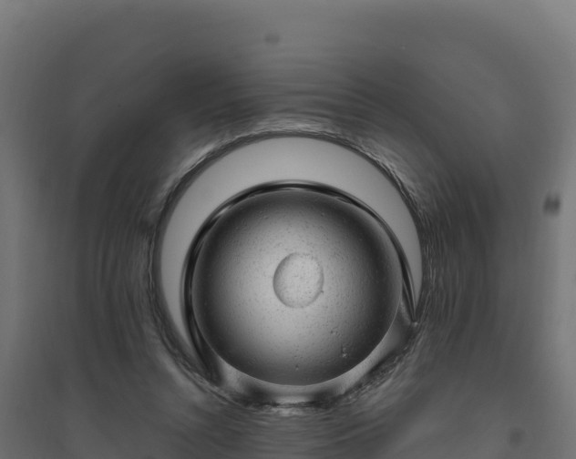 X0000094770352200711241322