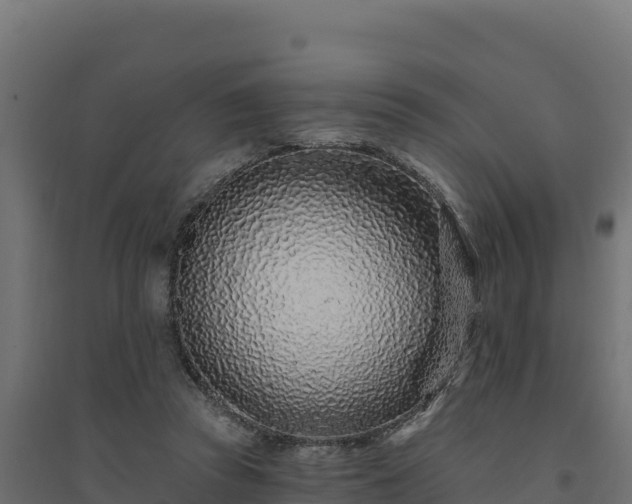 X0000094770353200711241322