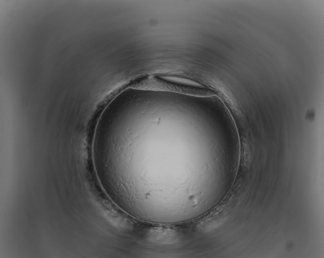 X0000094770354200711241322